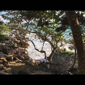 Meet your Posher, Elise